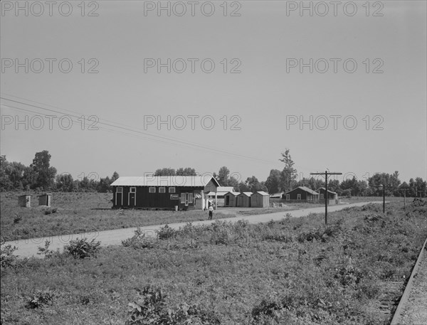 Approach to the Delta cooperative farm from highway, Hillhouse, Mississippi, 1937. Creator: Dorothea Lange.