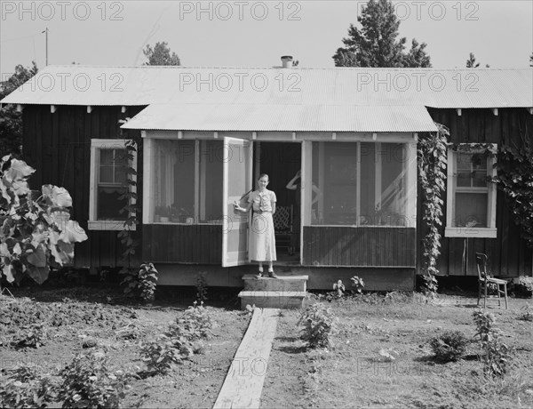 One of Delta cooperative farmsteads after a year of operation, Hillhouse, Mississippi, 1937. Creator: Dorothea Lange.