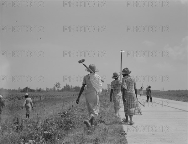 Cotton hoers (day laborers) move from one field across..., Mississippi Delta, 1937. Creator: Dorothea Lange.