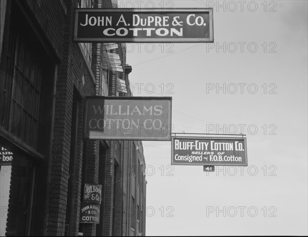 Looking down Union Avenue, Memphis, Tennessee, 1937. Creator: Dorothea Lange.