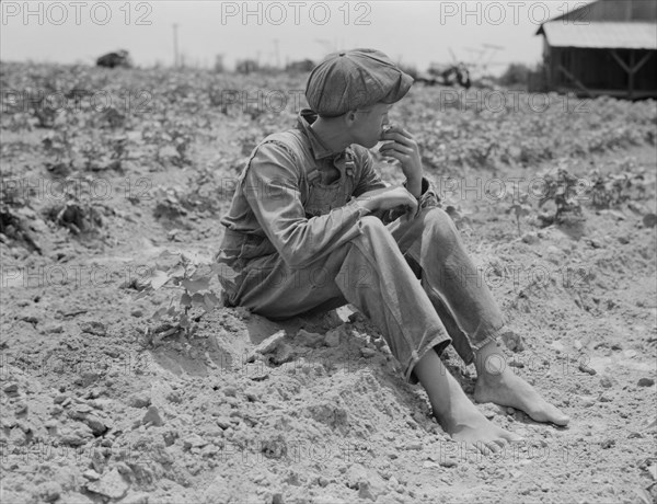 Sharecropper boy, Chesnee, South Carolina, 1937. Creator: Dorothea Lange.