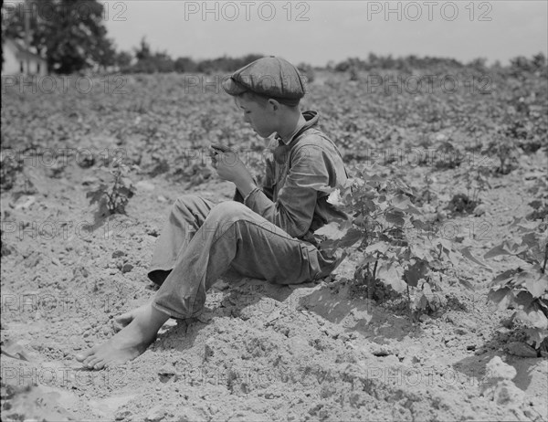 Sharecropper boy near Chesnee, South Carolina, 1937. Creator: Dorothea Lange.