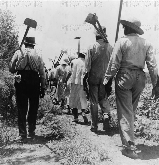 These cotton hoers work from 6 am to 7 pm for one dollar near Clarksdale, Mississippi, 1937. Creator: Dorothea Lange.