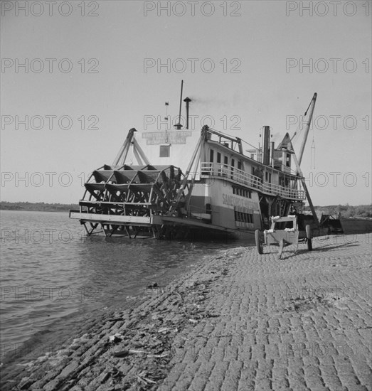 Stern wheeler pulled up to the municipal levee at Greenville, Mississippi, 1937. Creator: Dorothea Lange.