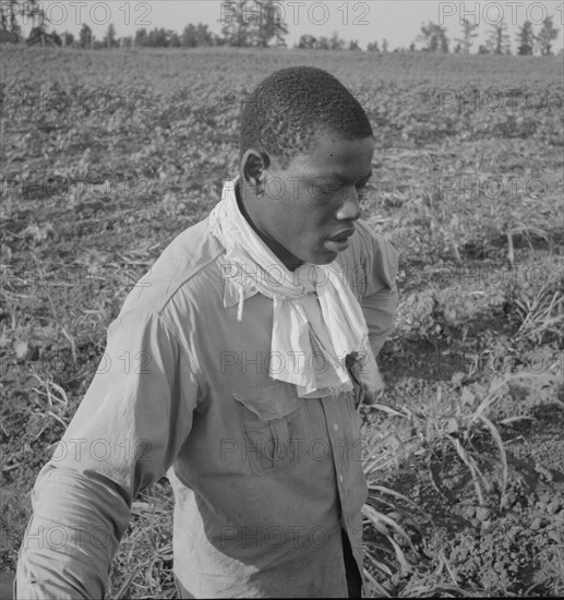 Cotton hoer, Coahoma County, Mississippi, 1937. Creator: Dorothea Lange.