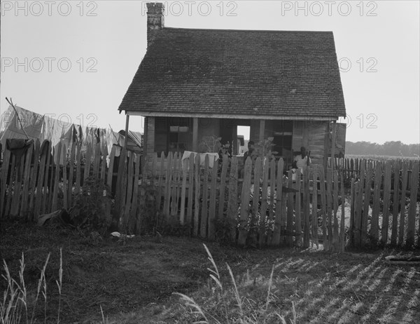 House on a cotton plantation in the Louisiana delta, 1937. Creator: Dorothea Lange.