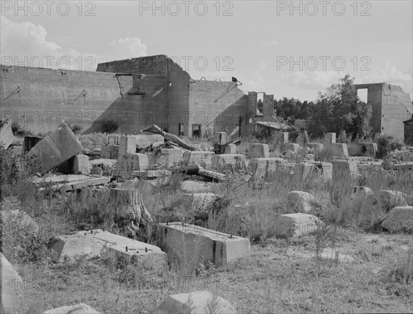 Foundations of lumber sheds in Fullerton, Louisiana, an abandoned lumber town, 1937. Creator: Dorothea Lange.