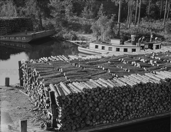 Pulp wood going down the River Styx to Mobile by inland waterway near Robertsdale, Alabama, 1937. Creator: Dorothea Lange.