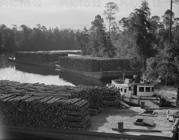 Pulpwood going down the River Styx to Mobile by inland waterway, near Robertsdale, Alabama, 1937. Creator: Dorothea Lange.