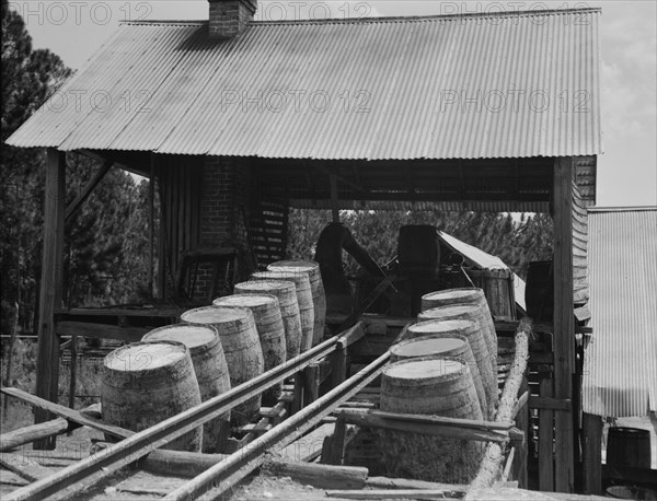 Turpentine still in the Piney Woods near Valdosta, Georgia, 1937. Creator: Dorothea Lange.