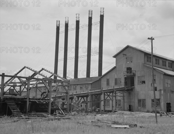 Lumber mill being dismantled at Careyville, Florida, 1937. Creator: Dorothea Lange.