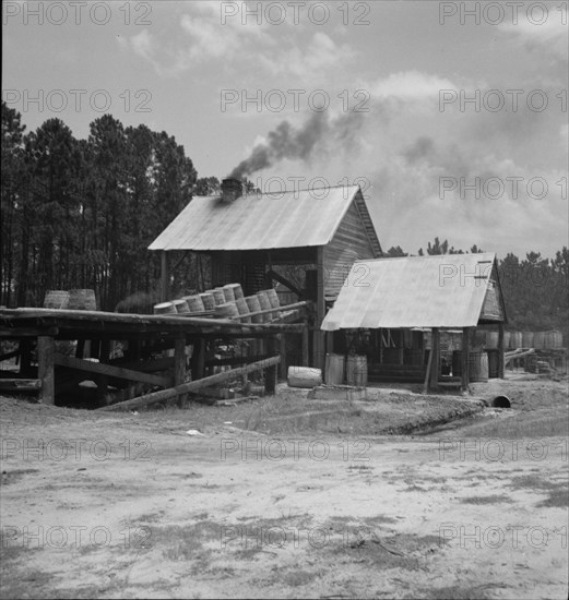 Turpentine still in the Piney Woods near Valdosta, Georgia, 1937. Creator: Dorothea Lange.