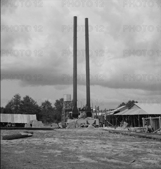 Turpentine plant near Marianna, Florida, 1937. Creator: Dorothea Lange.