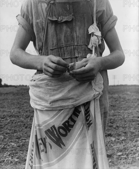 Farm boy with sack full of boll weevils...off of cotton plants, Macon County, Georgia, 1937. Creator: Dorothea Lange.