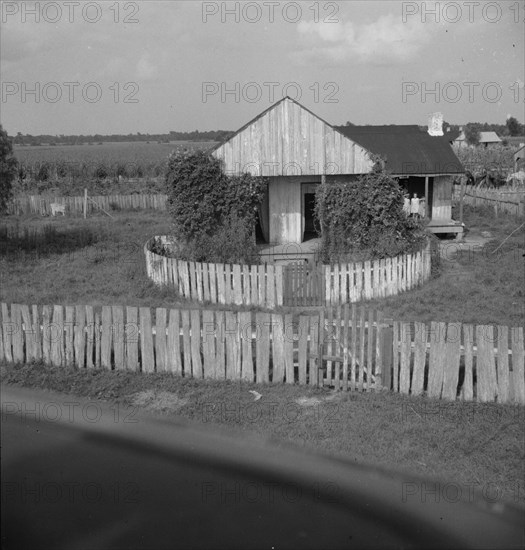 Cabin of sugarcane worker, Bayou La Fourche, Louisiana, 1937. Creator: Dorothea Lange.