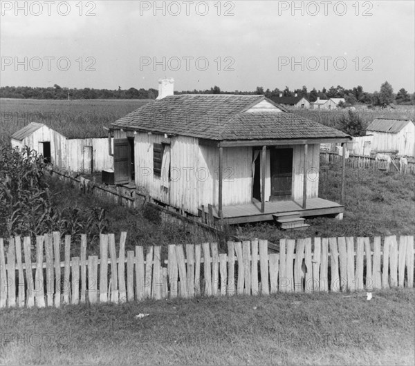Cabin of sugarcane worker, Bayou La Fourche, Louisiana, 1937. Creator: Dorothea Lange.