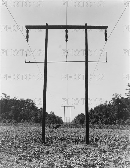 Rural electrification in Pulaski County, Arkansas, 1938. Creator: Dorothea Lange.