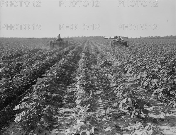 Tractors on Lake Dick project, Arkansas, 1938. Creator: Dorothea Lange.