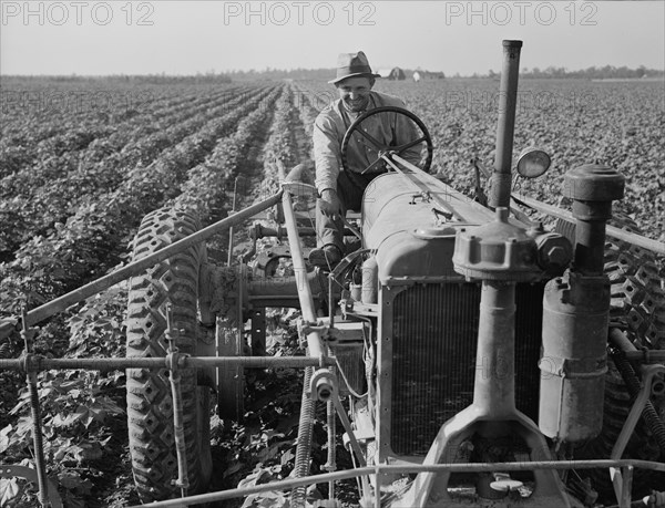 Tractor on Lake Dick project, Arkansas, 1938. Creator: Dorothea Lange.