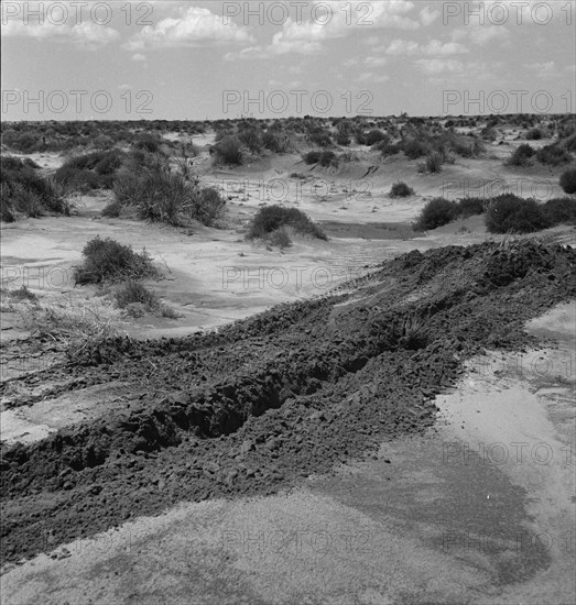 Leveling hummocks in the dust bowl, Coldwater District, 30 miles north of Dalhart, Texas, 1938. Creator: Dorothea Lange.