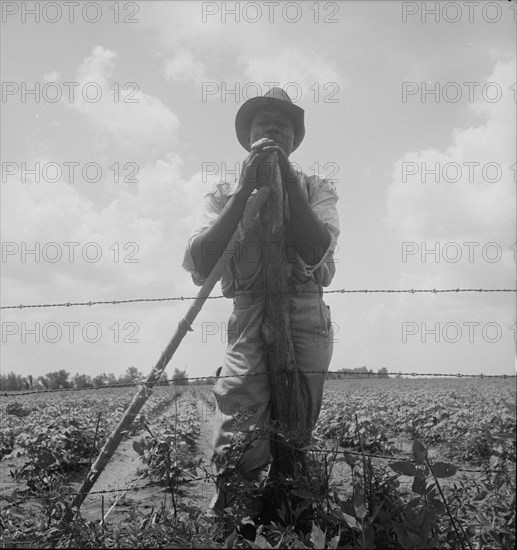 Negro sharecropper with twenty acres, Brazos riverbottoms, near Bryan, Texas, 1938. Creator: Dorothea Lange.