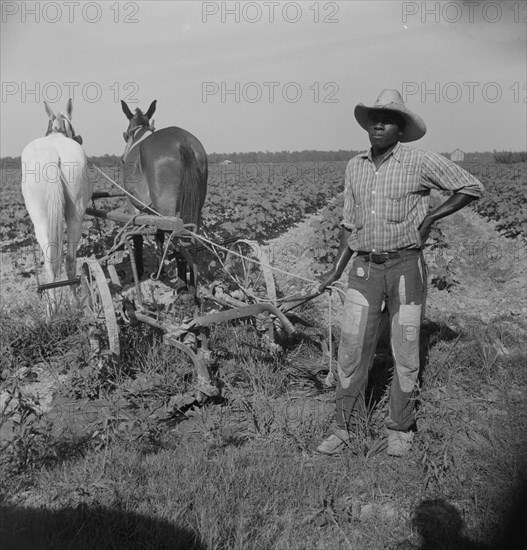 Negro cropper near Lake Dick, Arkansas, 1938. Creator: Dorothea Lange.