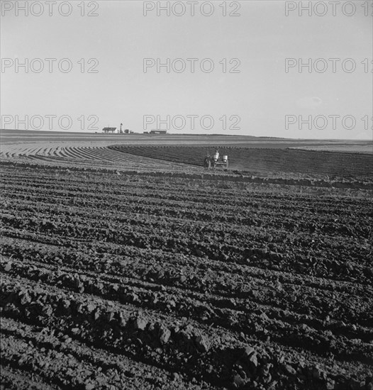 Contour plowing on mechanized farms, Childress County, Texas Panhandle, Texas, 1938. Creator: Dorothea Lange.