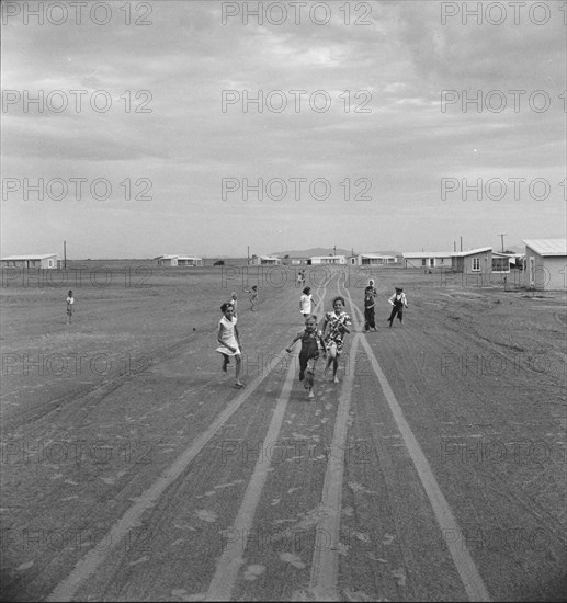 Farm Security Administration Casa Grande project, Arizona, 1938. Creator: Dorothea Lange.