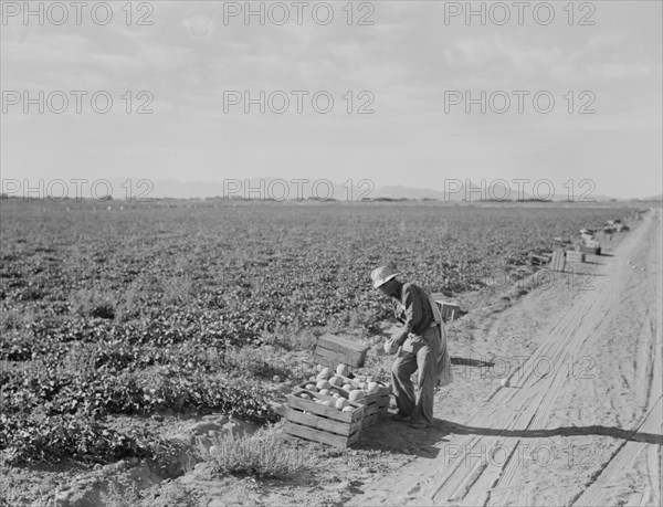 Mexican cantaloupe worker at 5:00 am, Imperial Valley, California, 1938. Creator: Dorothea Lange.