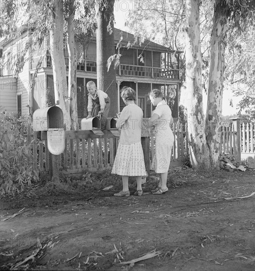 Morning mail at the Mineral King cooperative farm, FSA, Tulare County, California, 1938. Creator: Dorothea Lange.