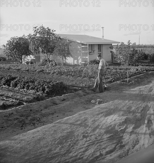 Type house at Garden Homes, Arvin (Kern County), California, 1938. Creator: Dorothea Lange.