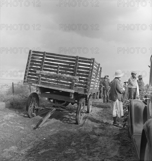 Migratory cotton pickers have stopped working because it started to rain, Kern County, CA, 1938. Creator: Dorothea Lange.