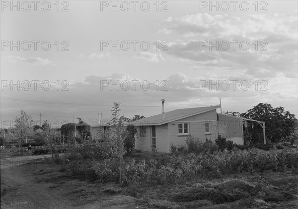 Type house at "Garden Homes", Kern County, California, 1938. Creator: Dorothea Lange.