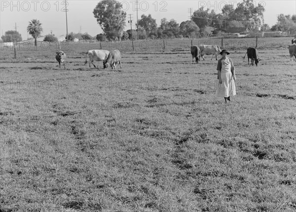 This farm of twelve acres operated as a prune ranch, Tulare County, California, 1938. Creator: Dorothea Lange.