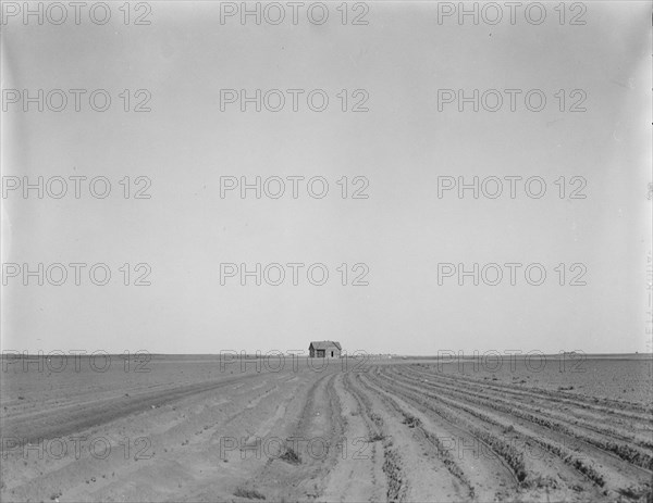 Abandoned tenant house, seen across tractored cotton fields, Childress County, Texas, 1937. Creator: Dorothea Lange.
