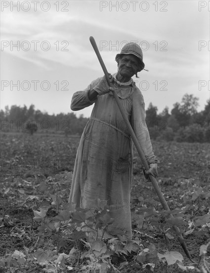 Mississippi Negress hoeing cotton, 1937. Creator: Dorothea Lange.