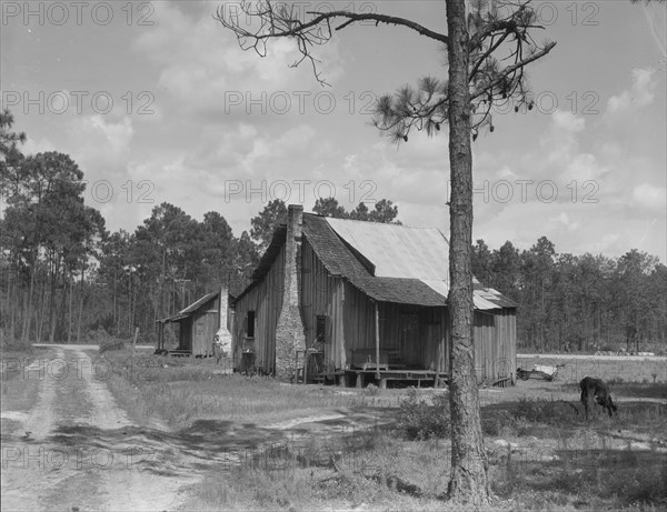 Turpentine worker's cabins, Valdosta, Georgia, 1937. Creator: Dorothea Lange.