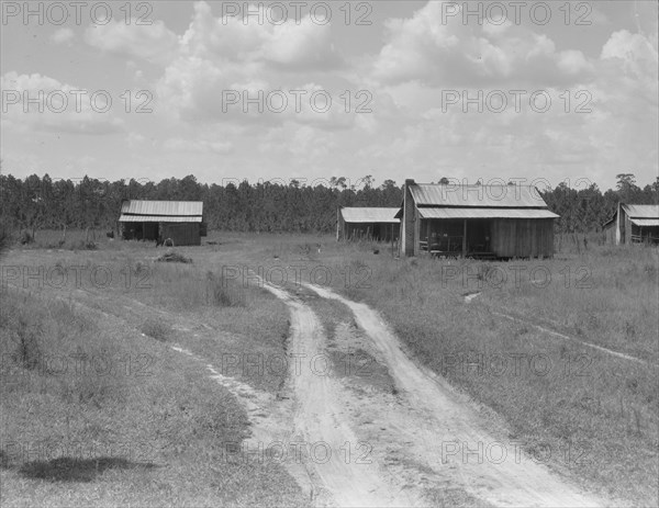 Turpentine worker's cabins, Valdosta, Georgia, 1937. Creator: Dorothea Lange.