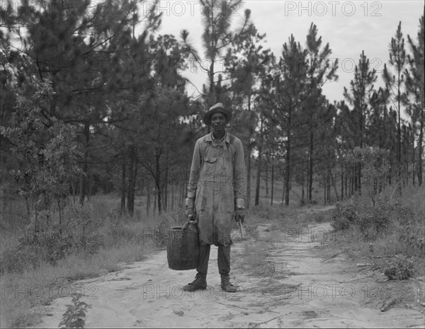 Turpentine dipper near Waycross, Georgia, 1937. Creator: Dorothea Lange.