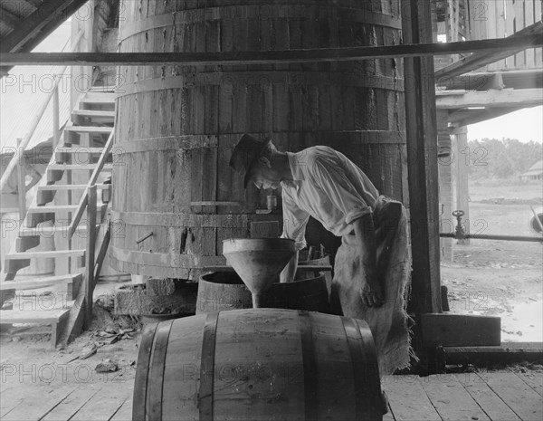 Turpentine "stiller" near Valdosta, Georgia, 1937. Creator: Dorothea Lange.