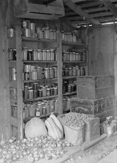 Rural rehabilitation, Tulare County, California, 1938. Creator: Dorothea Lange.