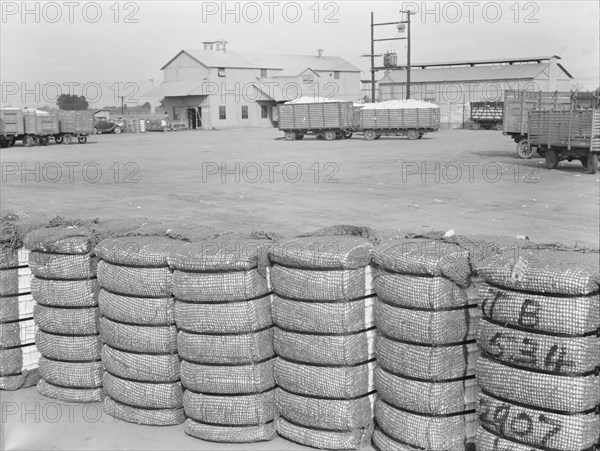 Kaweah Delta Cooperative cotton gin and yard, Tulare County, CA, 1938. Creator: Dorothea Lange.