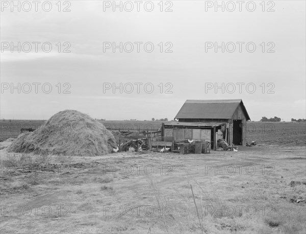 Small farm, Kern County, California, 1938. Creator: Dorothea Lange.