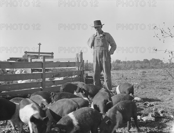 Farm Security Administration (FSA) rural rehabilitation client, Tulare County, California, 1938. Creator: Dorothea Lange.