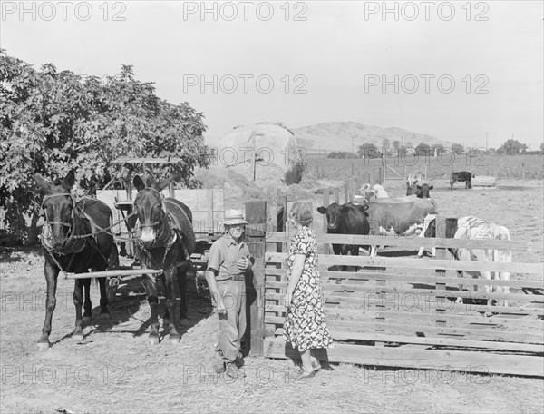 Rural rehabilitation, Tulare County, California, 1938. Creator: Dorothea Lange.