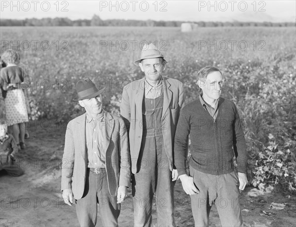 Ten families established by the FSA on the Mineral King Cooperative Farm, Tulare County, CA, 1938. Creator: Dorothea Lange.