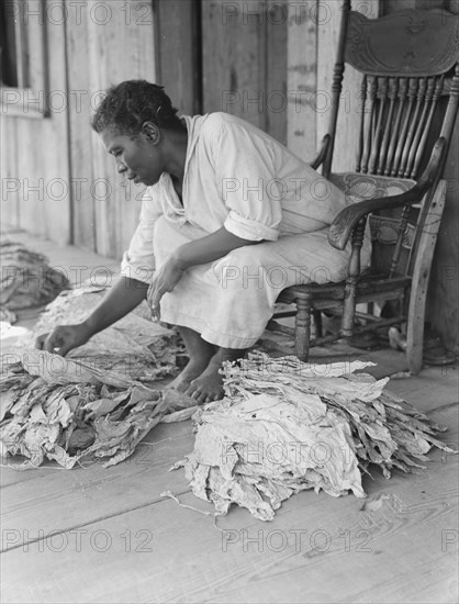 Near Douglas, Georgia, 1938. Creator: Dorothea Lange.