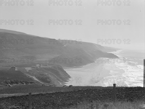 Near Half Moon Bay, California coast, 1938. Creator: Dorothea Lange.