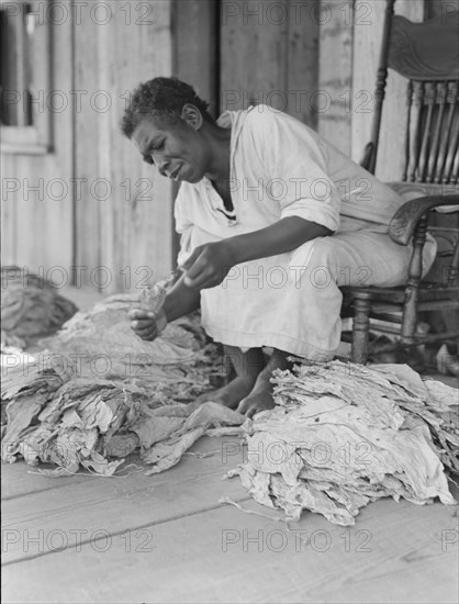 Near Douglas, Georgia, 1938. Creator: Dorothea Lange.