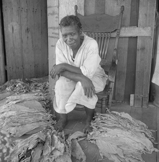 Near Douglas, Georgia. Sharecroppers grade the cured leaves, 1938. Creator: Dorothea Lange.